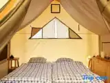 Тент
