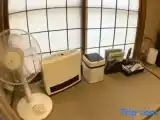 Двухместный номер Стандарт Цокольный этаж