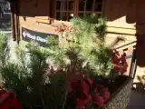 Номер Эконом
