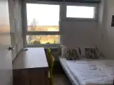 Люкс Classic
