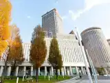 Двухместный номер Executive