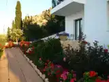 Полулюкс с видом на сад