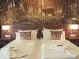 Двухместный номер Deluxe