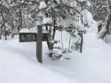 Номер Superior