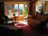 Одноместный номер Стандарт с видом на горы