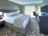Двухместный номер Premium