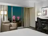 Двухместный номер с видом на Диснейленд