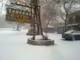 Run of House