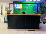 Номер Стандарт