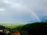 Run of House