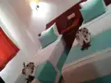 Одноместный номер Стандарт