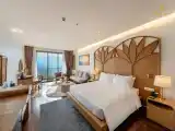 Номер Premium