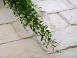 Люкс