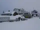 Run of House