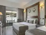 Двухместный номер Large с балконом и с красивым видом из окна