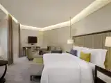 Двухместная студия