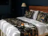 Двухместный люкс Executive с видом на город