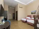 Трёхместный номер Делюкс с видом на город