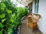 Апартаменты с 3 комнатами с балконом и с красивым видом из окна