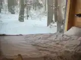 Коттедж с красивым видом из окна