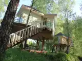 Дом на дереве