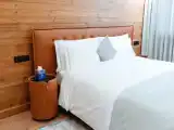 Двухместный номер Стандарт с красивым видом из окна