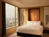 Двухместный номер Panoramic Club с видом на парк