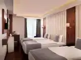 Трёхместный номер Superior