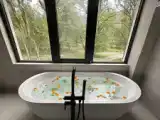 Люкс Executive с балконом и с красивым видом из окна