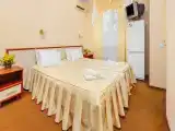Трёхместный номер Стандарт с балконом и с красивым видом из окна