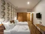 Двухместный номер Traveler's