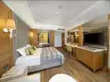 Люкс Deluxe с балконом и с красивым видом из окна