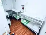 Кровать в общем номере (мужской номер)