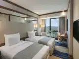Двухместный номер Deluxe с видом на город
