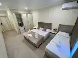 Трёхместный номер Deluxe с балконом и с красивым видом из окна