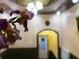 Трёхместный номер Superior