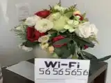 Одноместный номер Стандарт