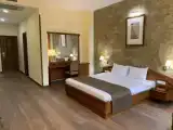 Двухместный номер Делюкс с видом на город