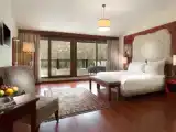 Двухместный номер Deluxe с балконом и с видом на парк