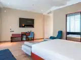 Двухместный номер Premier