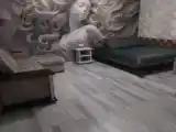 Люкс с видом на внутренний двор