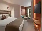 Двухместный номер Deluxe Large с видом на окрестности