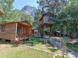 House Tree с балконом и с красивым видом из окна