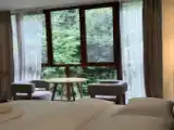Двухместный номер Стандарт с красивым видом из окна