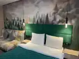 Номер Грин Стандарт Комфорт Плюс