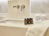 Номер Deluxe с видом на сад