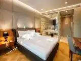 Двухместный номер Deluxe with Atrium view