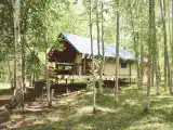 Кемп Комфорт М