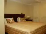 Двухместный люкс Premier с красивым видом из окна