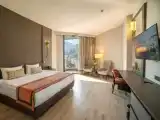 Двухместный люкс Executive с балконом